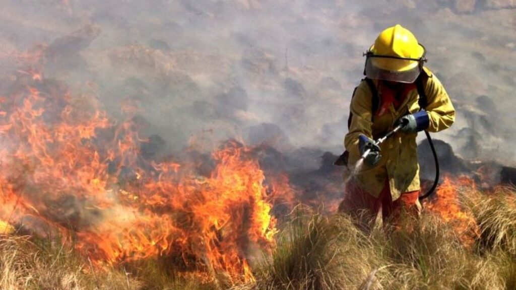 Combaten tres incendios forestales en Córdoba