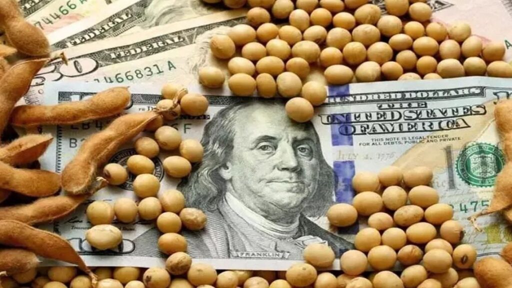 ¿Cuántas toneladas de soja se liquidaron con el nuevo Dólar Agro?