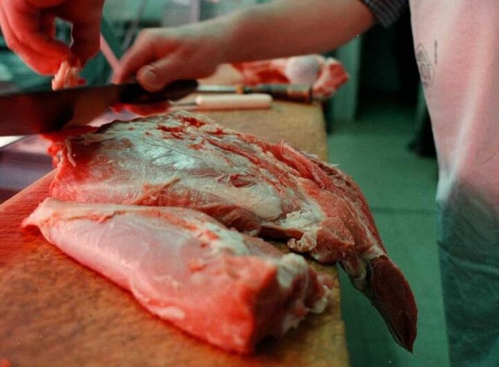 El consumo de carne se desplomó 17,6% en el primer trimestre, el registro más bajo de los últimos 30 años