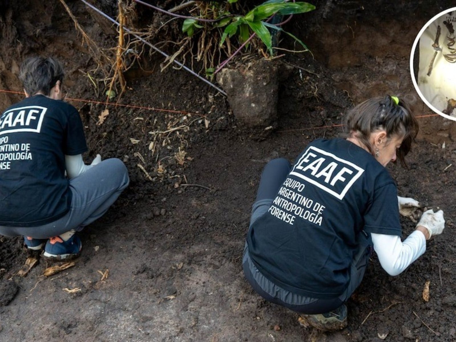 Misterio en Coghlan: revisan con un georradar el jardín donde apareció el cuerpo de Diego Fernández Lima