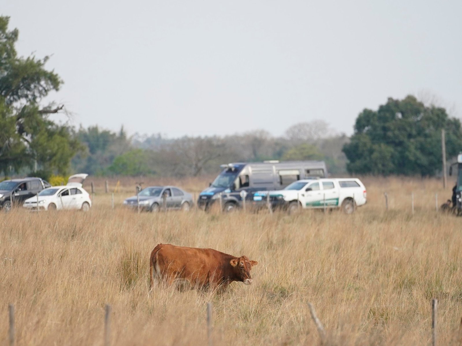 Caso Loan: la conclusión que arrojó la inspección ocular de seis horas que hicieron en el campo donde desapareció el nene