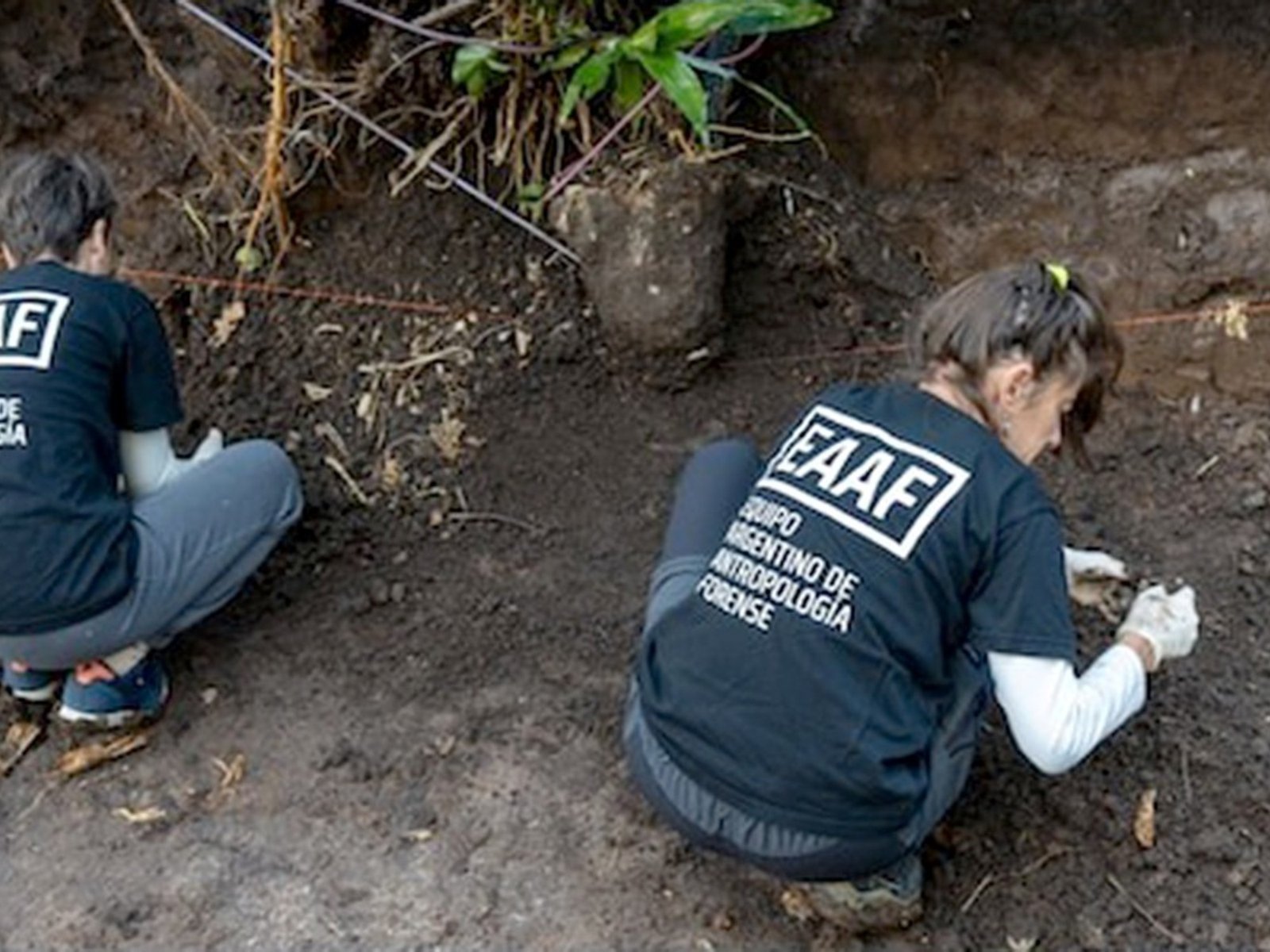 Misterio en Coghlan: un georradar detectó algo más en el jardín de Cristian Graf y recomiendan volver a excavar