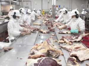 Acuerdo Mercosur-UE: estiman que las exportaciones argentinas podrían duplicarse en cinco años