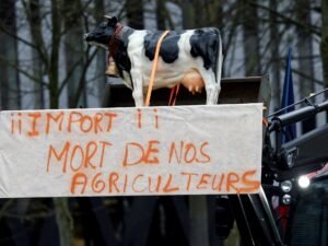 Broncas y alegrías en Europa por la entrada en vigor del acuerdo Mercosur-UE