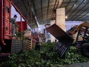 En marzo las exportaciones de yerba mate dieron otro salto pese al conflicto en Medio Oriente