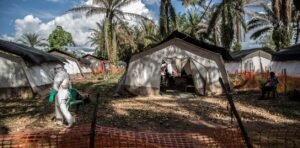 La OMS declaró la emergencia de salud pública internacional por el brote de ébola en África: son 89 los muertos hasta ahora