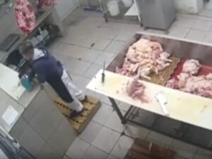 Detuvieron a una mujer que discutió con un compañero y le puso raticida en el mate: el video que revela un intento de envenenamiento