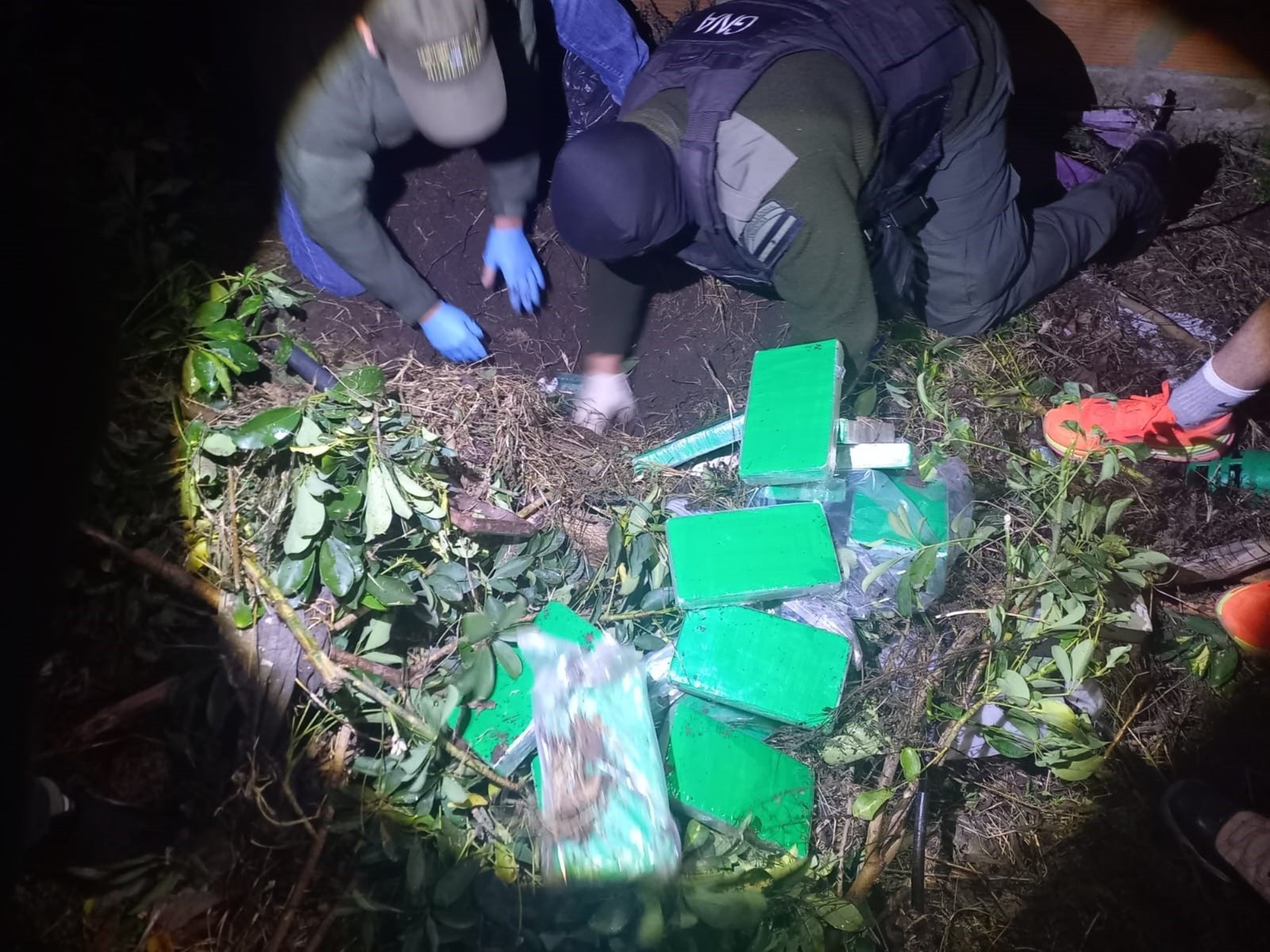 El agudo olfato de Gretel: la perra labradora que encontró la pista de 58 kilos de cocaína enterrados en un jardín