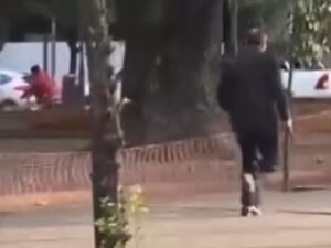 Pánico en una plaza: un exmilitar armado le pegó un sopapo a su esposa, la amenazó, le disparó a un trapito y terminó muerto