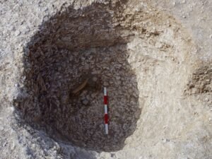 En antiguas fosas cerca de Stonehenge, los científicos encuentran indicios de rituales del solsticio