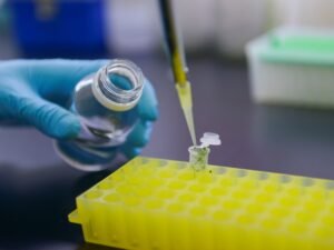 La inversión en startups argentinas ya supera los US$ 400 millones este año y duplica el ritmo de 2025
