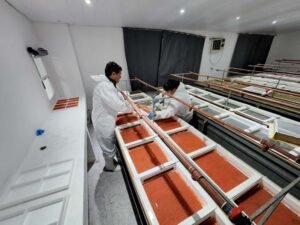 Newsan crece en el negocio alimenticio y compró una pesquera histórica dedicada a un producto “delicatessen”