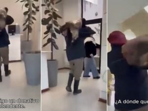 “Pura brutalidad”: le descuartizaron dos animales de alta genética y tiró los restos en la municipalidad como protesta