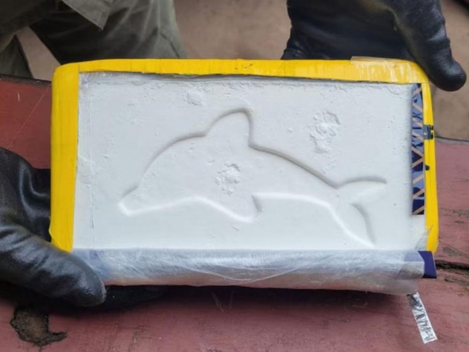 Mostaza blanca: detuvieron a dos mujeres con más de 20 kilos de cocaína con el famoso sello del delfín y envueltos con aderezo