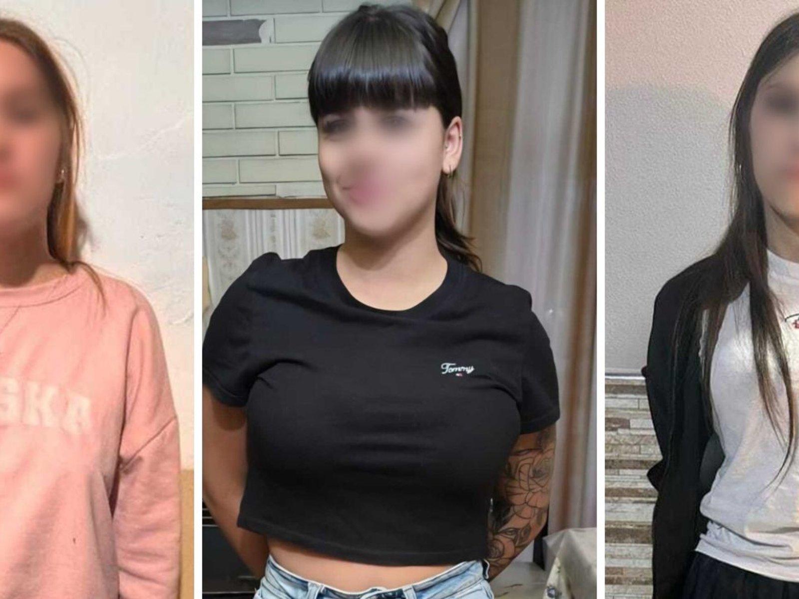 Seducción, emboscada y transferencias: así atacan las tarántulas, las nuevas viudas negras