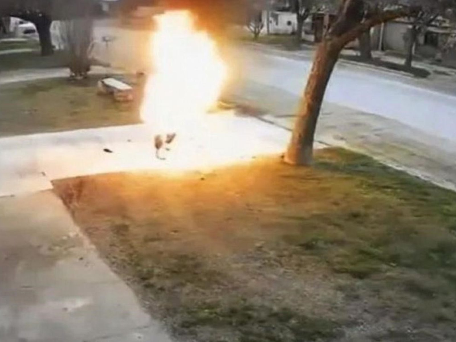 Murió tras quedar envuelto en llamas y la familia apunta contra su pareja: el video que será clave para determinar cómo se inició el fuego