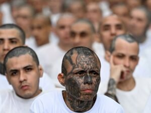 El Salvador: con un pedido de miles de años de cárcel termina el juicio masivo a los jefes de la pandilla Mara Salvatrucha