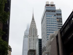 El brote de diarreas explosivas provocadas por un parásito avanza por Estados Unidos y en Nueva York investigan la ruta del cilantro