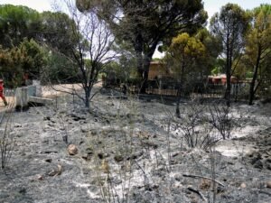 Evacúan a 3.500 personas de pueblo a 60 kilómetros m de Madrid por un incendio forestal