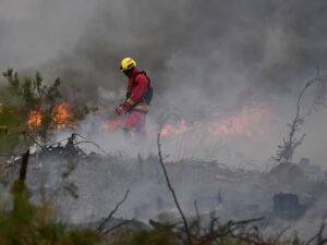 Un descontrolado incendio forestal en Francia obliga a evacuar a 250.000 personas y avanza hacia Burdeos