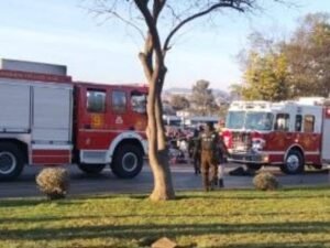 Un militar de la Armada chilena embistió una feria en Viña del Mar: hay al menos seis muertos
