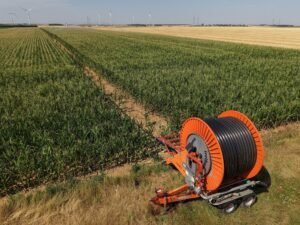 Una oportunidad para el Mercosur: por el calor y la sequía, Europa espera la peor cosecha de cereal en una década