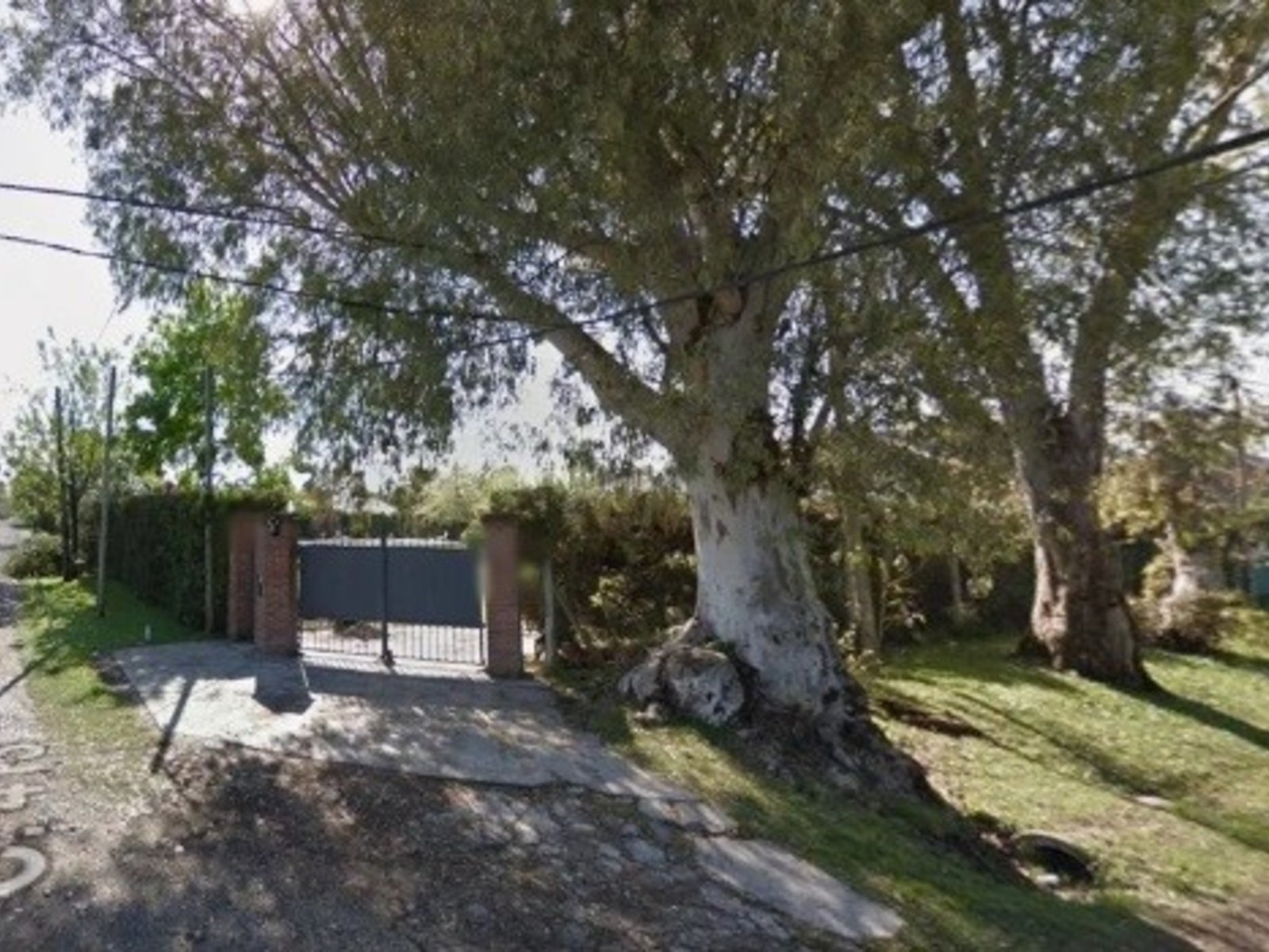 Investigan la misteriosa muerte de una mujer en Villa Elisa: la encontraron con la cabeza dentro de un pozo en el patio de su casa