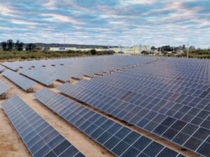 Arcor empieza a generar su propia energía renovable para bajar costos