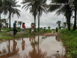 Deportados relatan sus desgarradores viajes a África: grilletes, un “congelador” y golpes