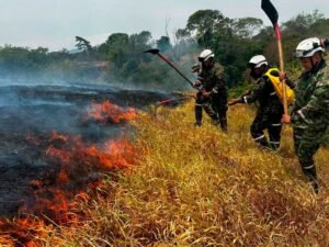 Después del terremoto, los incendios forestales arrasan miles de hectáreas en Colombia y el gobierno acusa a “manos criminales”