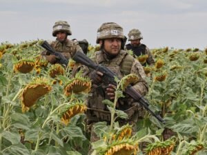 El precio de un cultivo que vive un boom en Argentina vuelve a niveles que no se veían desde los comienzos de la Guerra entre Rusia y Ucrania