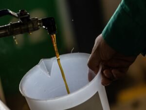 En Brasil buscan fabricar combustible para aviones con una fruta exótica: hay US$ 3.000 millones en danza
