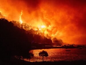 Europa sin tregua: con temperaturas de infierno se desata otra ola incendios desde Alemania hasta el Reino Unido