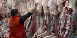 Las exportaciones de carne vacuna crecieron 42% en valor en los primeros siete meses del año
