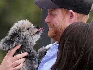 Las razones y dudas detrás del regreso de Harry y Meghan al Reino Unido: ¿reconciliación, seguridad o una nueva corte real?