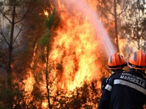 Los incendios forestales en Europa detonan bombas y minas de la Primera y la Segunda Guerra Mundial
