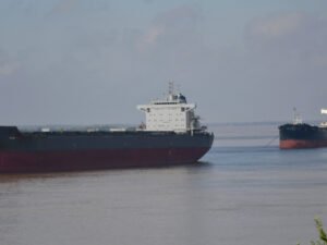 “Mucha preocupación”: los prácticos dejaron de prestar servicios tras la desregulación del Gobierno y hay más de 150 barcos paralizados