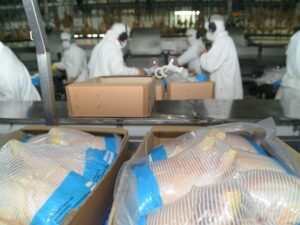 “Nueva oportunidad”: tras la reapertura europea, Argentina logró abrir el mercado surcoreano para la carne aviar