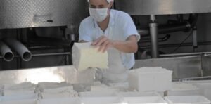 Ranking de la industria láctea: 5 empresas concentran el 36% de la producción, las cooperativas apenas el 3% y hay firmas que ya no participan del mercado