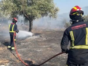 Un nuevo incendio a 50 km de Madrid obligó a confinar a más de 3.000 personas y encendió nuevamente las alarmas