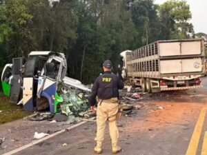 Una combi que trasladaba pacientes médicos chocó con un camión en el sur de Brasil: hay al menos 23 muertos