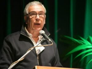 “Una situación delicada”: en la forestoindustria advierten el golpe en la actividad por la paralización de la obra pública y la caíd en la construcción