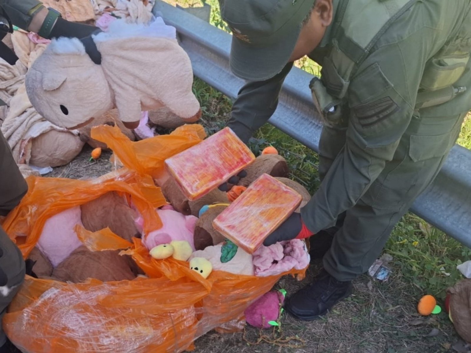 Narcopeluches: descubren un cargamento de marihuana y cocaína escondido dentro de carpinchos de felpa