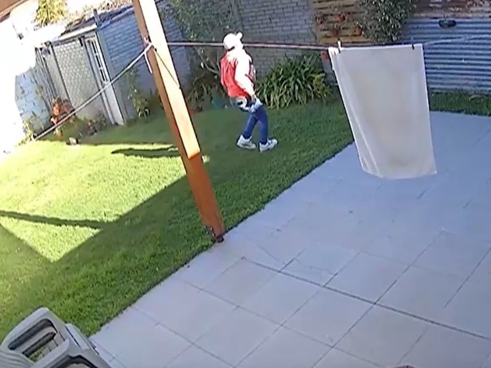 "Acá vos tenés una caja fuerte": tres ladrones saltaron paredes y asaltaron en su casa a una jueza en La Plata