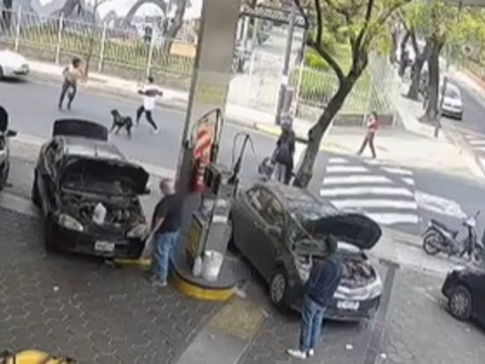 Brutal crimen en San Cristóbal: ató una faca a una muleta y la usó como una lanza en una pelea callejera