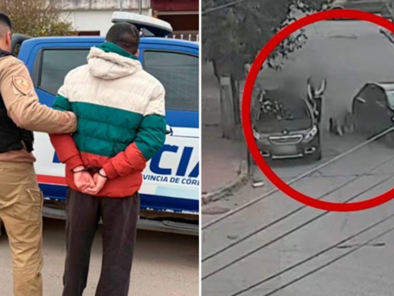 Se hizo pasar por chofer de aplicaciones, intentó robarle a una pasajera y la tiró del auto en movimiento: en tiempo récord le llegó la condena