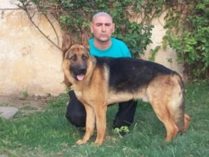 El adiestrador de perros que suma dos condenas por plantar pruebas irá a juicio por el caso Araceli Fulles