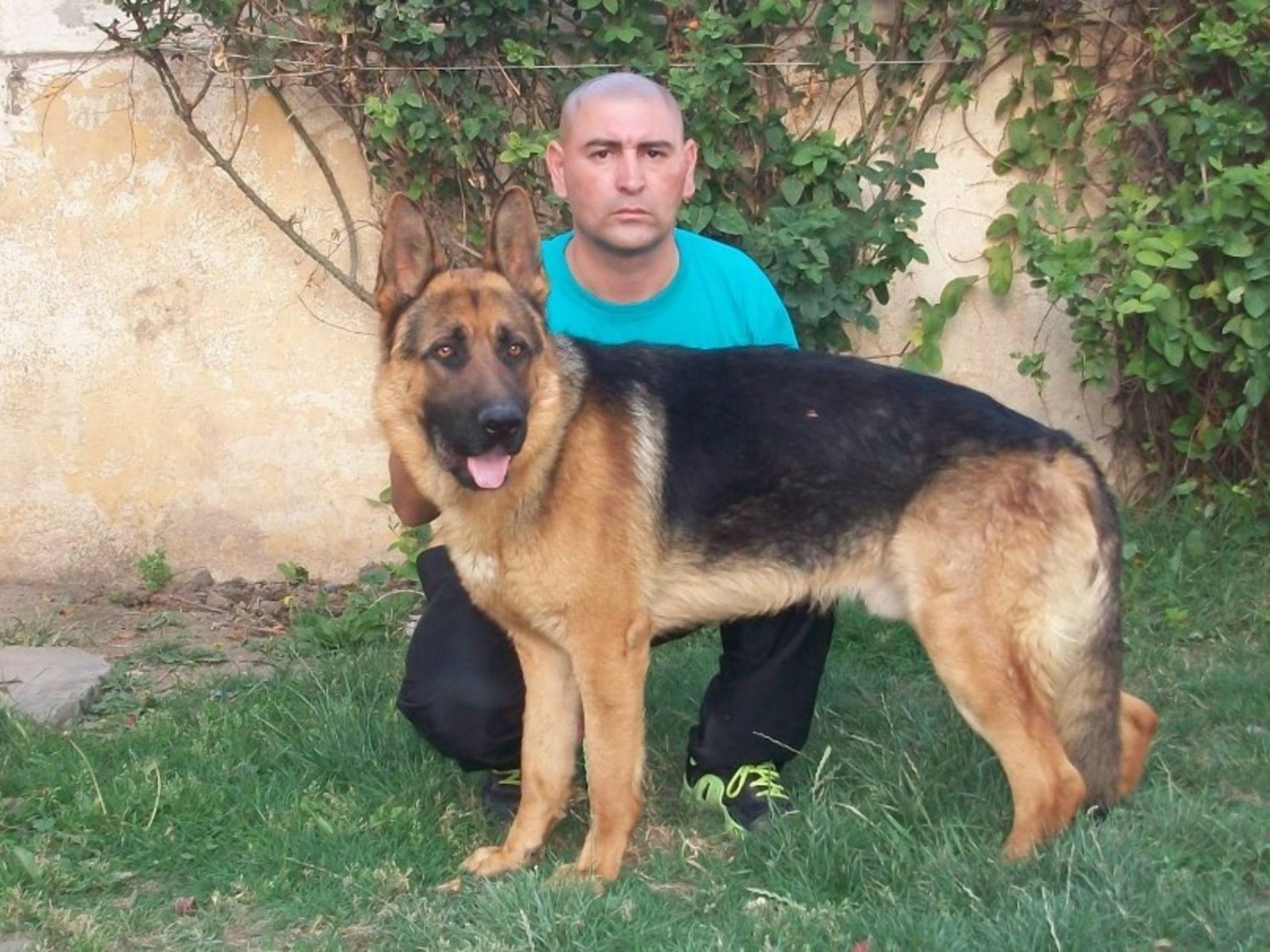 El adiestrador de perros que suma dos condenas por plantar pruebas irá a juicio por el caso Araceli Fulles