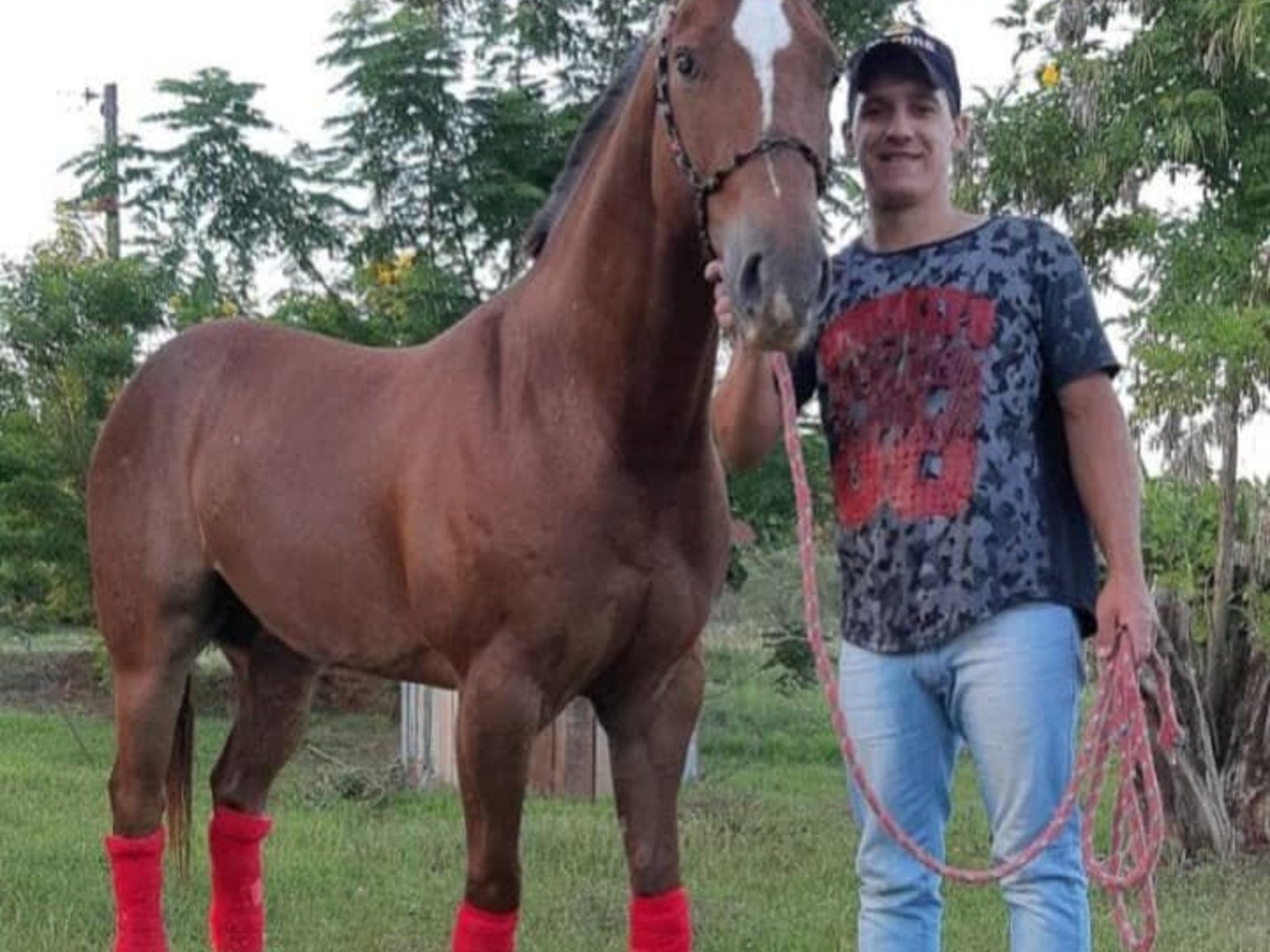 Crimen narco en Misiones: sicarios brasileños y un joven acribillado de 12 balazos por una deuda